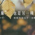 笑著轉身，哭著離去｜因為愛，所以選擇離開