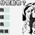 心理測試：從你第一眼看到什麼動物，看你內心有多麼的單純