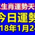 十二生肖運勢天天看，今日運勢：1月24日