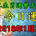 十二生肖運勢天天看，今日運勢：2018年1月26日