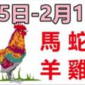 十二生肖每週運勢播報（2月5日—2月11日）