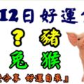 2月12日好運生肖，福氣滿滿笑顏開！【豬+？+虎+牛+兔+猴】『轉發分享好運自來』