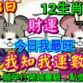 12生肖運勢-7月3日星期二戊戌年(狗)五月廿