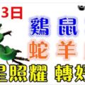 7月23日生肖運勢【雞、鼠、猴大吉】