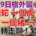 7月29日要格外留心了！一個蛇、一個虎、一個豬、一個狗！必須轉走啊！緊急！