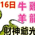 10月16日生肖運勢_牛、雞、猴大吉