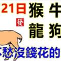 11月21日生肖運勢_猴、牛、雞大吉