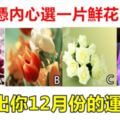 心理學：憑內心選一片鮮花，看出你12月份的運勢