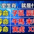 十二生肖：上等命。中等命、下等命？