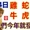 1月4日生肖運勢_雞、蛇、鼠大吉