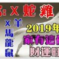 2019年開始財運很旺的生肖