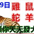 1月19日生肖運勢_雞、鼠、猴大吉