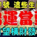 1月21號開始鴻運當頭，有望橫財發不停的生肖【前六名多留意】