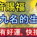 觀音賜福【前九名的生肖】新年有好運！快來接喜