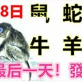 2月28日生肖運勢_鼠、蛇、龍大吉