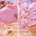 2019日本賞櫻必吃「療癒小點心」　粉色鯛魚燒讓大家的少女心爆發