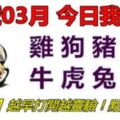 31號03月，今日我最旺！雞狗豬鼠牛虎兔龍！【13888】越早打開越靈驗！點個讚吧！