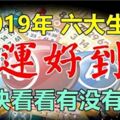 2019年財運好到爆的六大生肖