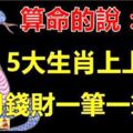 算命的說：9月求得上上簽的5大生肖，錢財不斷一筆接一筆