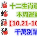 十二生肖運勢：本周運勢【10.21-10.27】千萬別錯失！