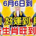 6月6日到，福到財到好運到的生肖