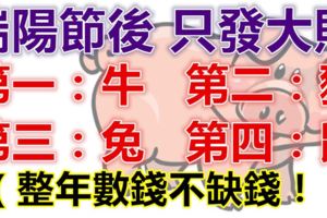 端陽節過後，這四大生肖整年數錢不缺錢，只發大財！