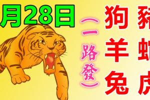 5月28日，生肖狗、豬、羊、蛇、兔、虎！一路發發發！
