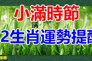 小滿時節12生肖運勢提醒
