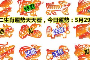 十二生肖運勢天天看，今日運勢：5月29日