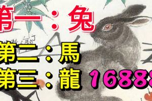 你家有屬兔馬龍嗎？6月有一財！偏財運大旺、好運常伴！