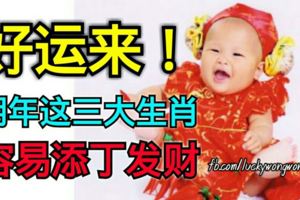 好運來！明年這三大生肖容易添丁發財