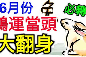 6月份鴻運當頭，大翻身的生肖