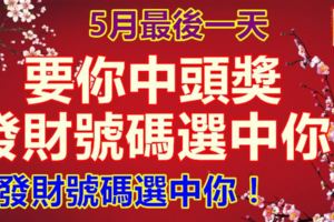 5月最後一天，要你中頭獎，發財號碼選中你，十二生肖發橫財！