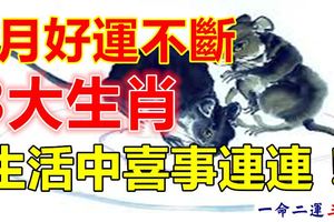 6月好運不斷，生活中喜事不斷的生肖！
