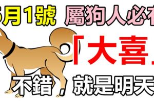 6月1號，屬狗人必有「大喜」，不錯，就是明天！