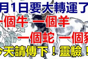 6月1日大轉運，一個牛，一個羊，一個蛇，一個豬！今天請傳下！靈驗！