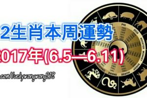 12生肖本周運勢2017年(6.5—6.11)