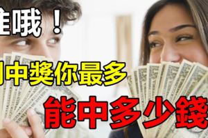 准哦！測中獎你最多能中多少錢！我竟然連安慰獎都中不了！