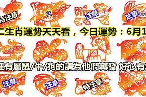 十二生肖運勢天天看，今日運勢：6月10日