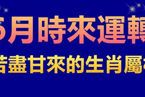 6月時來運轉，苦盡甘來的生肖屬相！