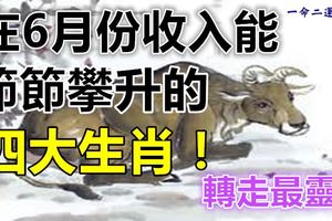 在6月份收入能節節攀升的四大生肖！