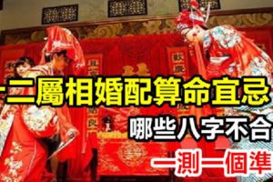 十二屬相婚配算命宜忌！哪些八字不合？一測一個準！