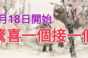 6月18日開始，驚喜一個接一個的三大生肖