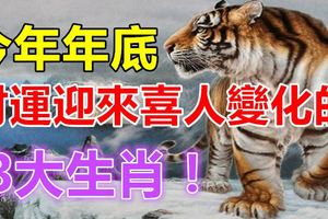 今年年底，財運迎來喜人變化的3大生肖！