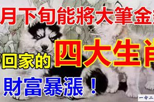 6月下旬能將大筆金錢撈回家的四大生肖！財富暴漲！