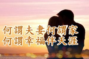 何為夫妻？何為家？何為幸福？