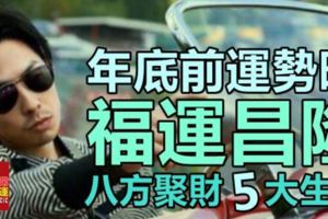 年底前運勢大旺，福運昌隆，財源不斷，八方聚財的5大生肖！