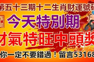 第五十三期十二生肖財運號碼。今天特別期，財氣特旺中頭獎！你一定不要錯過！留言53168
