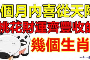 3個月內喜從天降，桃花財運齊豐收的幾個生肖!