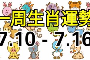 一周生肖運勢（7.10-7.16）